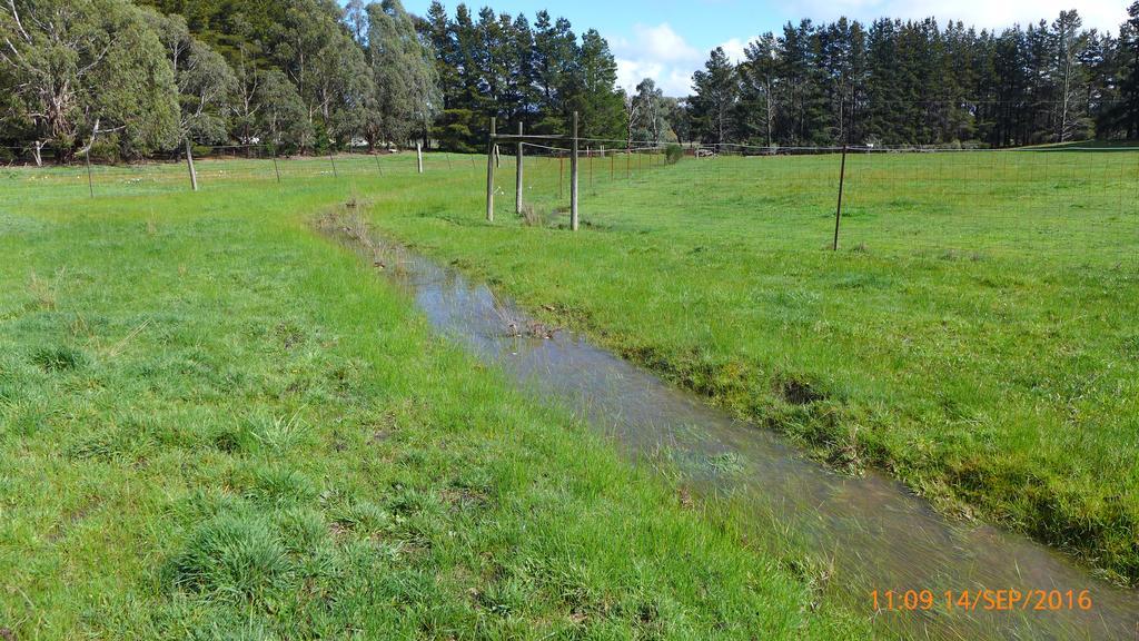 Enfield Helen'S Homestead מראה חיצוני תמונה