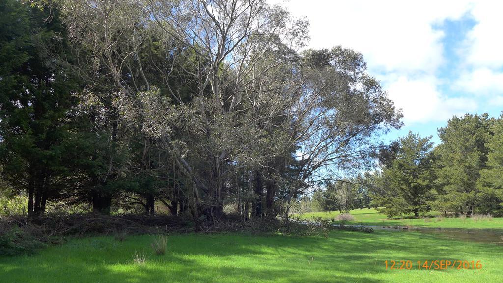 Enfield Helen'S Homestead מראה חיצוני תמונה