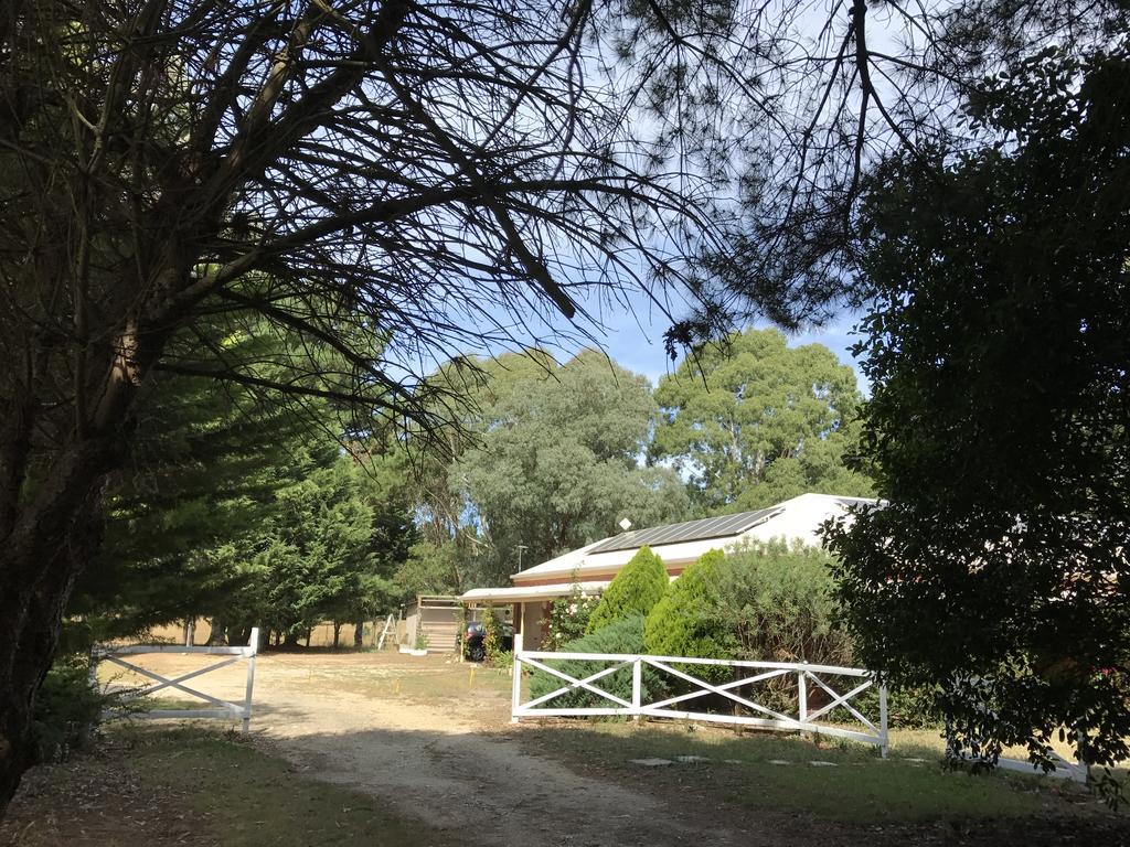 Enfield Helen'S Homestead מראה חיצוני תמונה